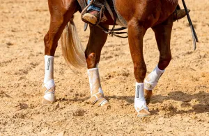 Iconoclast Orthopedic Support - Front Boots