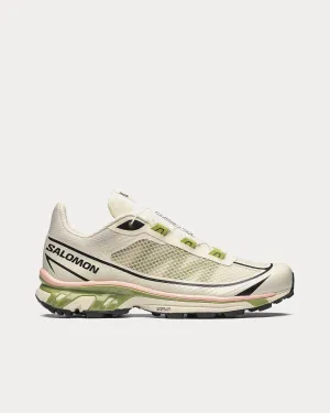 XT-6 FT Rainy Day / Epsom / Peach Beige Low Top Sneakers